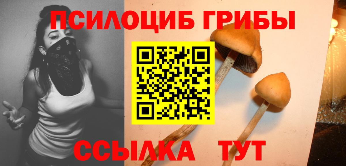 дарнет шоп  Псилоцибиновые грибы MAGIC MUSHROOMS  Вход с VPN  Асино 