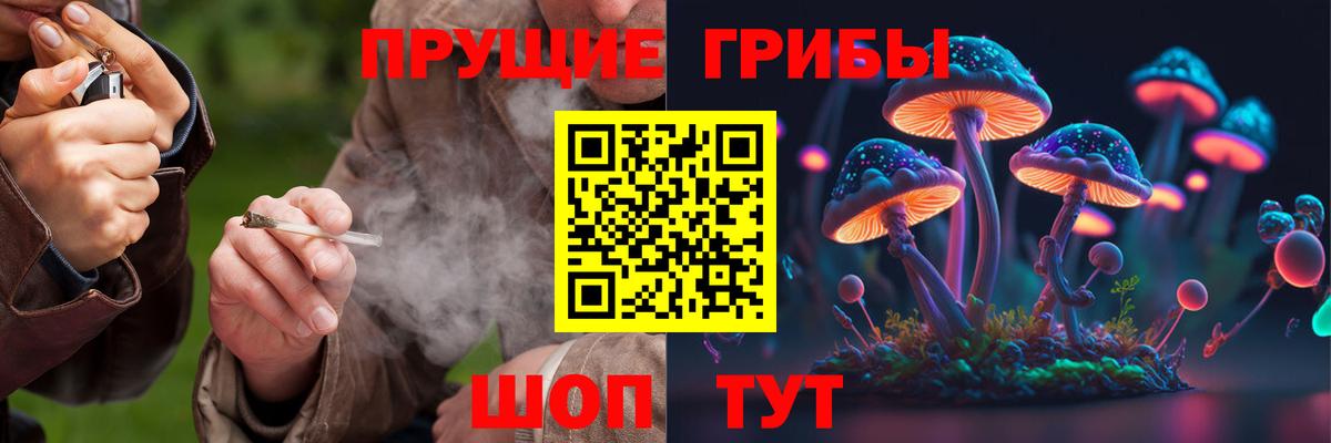 Галлюциногенные грибы GOLDEN TEACHER Асино